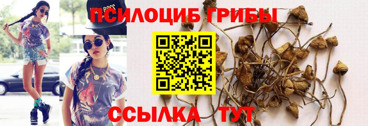 Дубна  Галлюциногенные грибы GOLDEN TEACHER  купить   Галлюциногенные грибы прущие грибы  Вход с VPN 